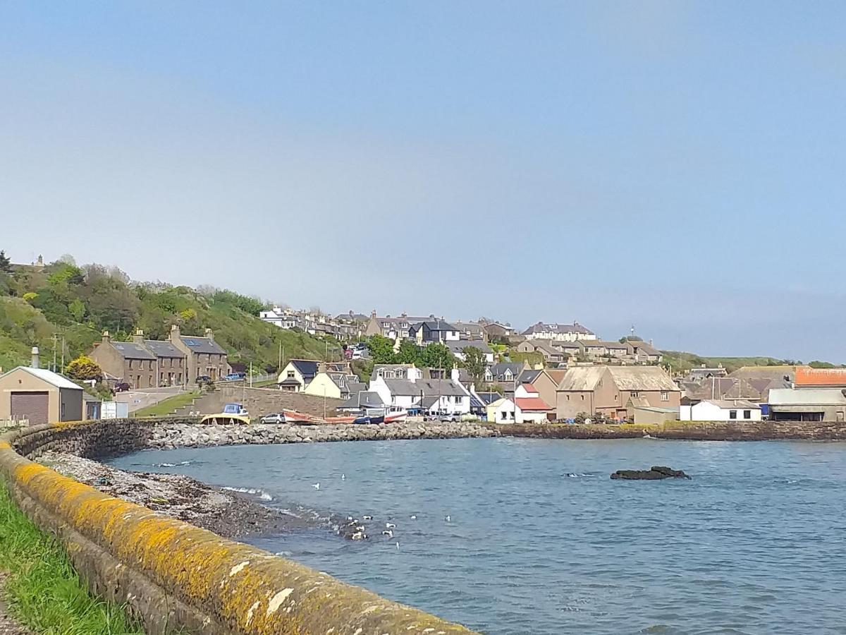 Coastal Cottage Inverbervie Esterno foto